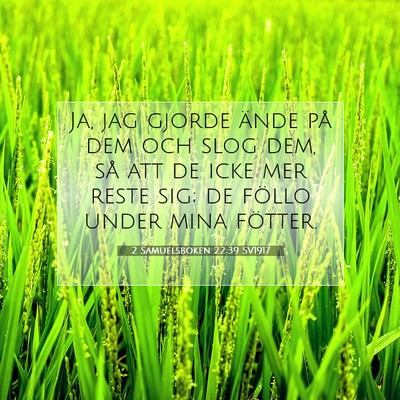 Picture 07 - 2 Samuelsboken 22:39 SV1917 - Ja, jag gjorde ände på dem och slog dem, så - Bible Verse Picture