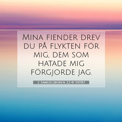Picture 07 - 2 Samuelsboken 22:41 SV1917 - Mina fiender drev du på flykten för mig, dem - Bible Verse Picture