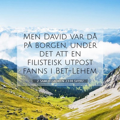 Picture 07 - 2 Samuelsboken 23:14 SV1917 - Men David var då på borgen, under det att en - Bible Verse Picture