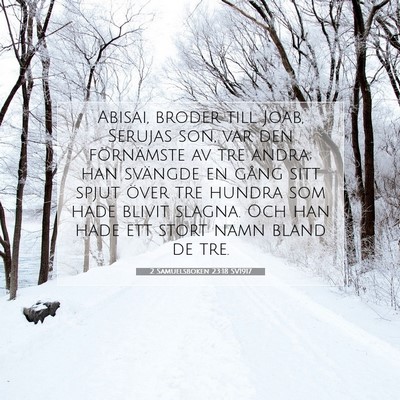 Picture 07 - 2 Samuelsboken 23:18 SV1917 - Abisai, broder till Joab, Serujas son, var den - Bible Verse Picture