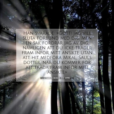 Picture 07 - 2 Samuelsboken 3:13 SV1917 - Han svarade: »Gott! Jag vill sluta förbund med - Bible Verse Picture