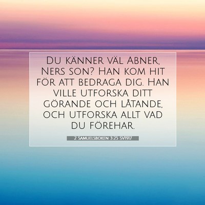 Picture 07 - 2 Samuelsboken 3:25 SV1917 - Du känner väl Abner, Ners son? Han kom hit för - Bible Verse Picture