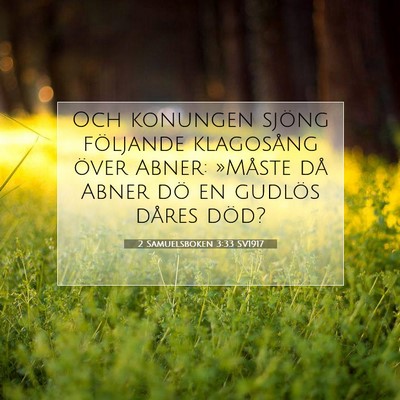 Picture 07 - 2 Samuelsboken 3:33 SV1917 - Och konungen sjöng följande klagosång över - Bible Verse Picture