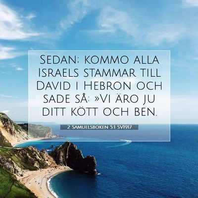 Picture 07 - 2 Samuelsboken 5:1 SV1917 - Sedan; kommo alla Israels stammar till David i - Bible Verse Picture