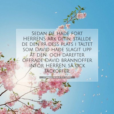 Picture 07 - 2 Samuelsboken 6:17 SV1917 - Sedan de hade fört HERRENS ark ditin, ställde - Bible Verse Picture