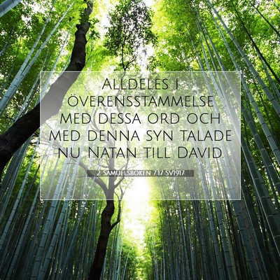 Picture 07 - 2 Samuelsboken 7:17 SV1917 - Alldeles i överensstämmelse med dessa ord och - Bible Verse Picture
