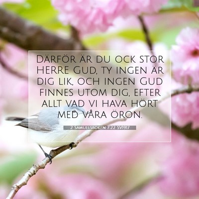 Picture 07 - 2 Samuelsboken 7:22 SV1917 - Därför är du ock stor HERRE Gud, ty ingen är - Bible Verse Picture