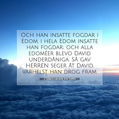 Picture 07 - 2 Samuelsboken 8:14 SV1917 - Och han insatte fogdar i Edom, i hela Edom - Bible Verse Picture