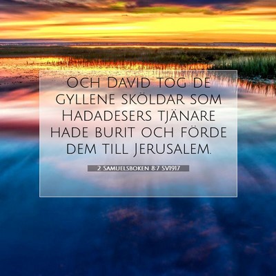 Picture 07 - 2 Samuelsboken 8:7 SV1917 - Och David tog de gyllene sköldar som Hadadesers - Bible Verse Picture