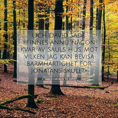 Picture 07 - 2 Samuelsboken 9:1 SV1917 - Och David sade: »Finnes ännu någon kvar av - Bible Verse Picture