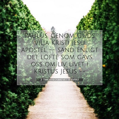 Picture 07 - 2 Timotheosbrevet 1:1 SV1917 - Paulus, genom Guds vilja Kristi Jesu apostel -- - Bible Verse Picture