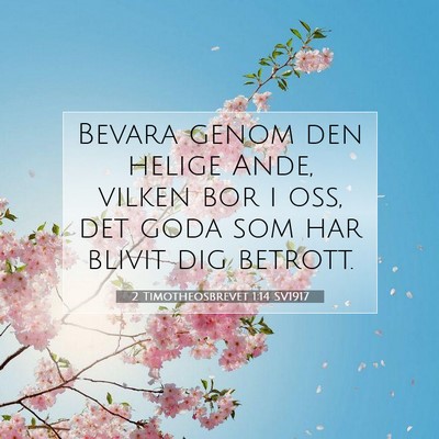 Picture 07 - 2 Timotheosbrevet 1:14 SV1917 - Bevara genom den helige Ande, vilken bor i oss, - Bible Verse Picture