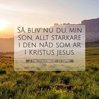 Picture 07 - 2 Timotheosbrevet 2:1 SV1917 - Så bliv nu du, min son, allt starkare i den nåd - Bible Verse Picture