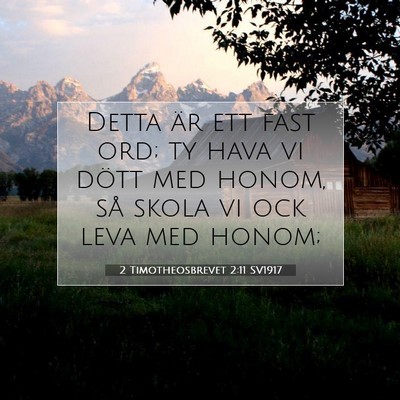 Picture 07 - 2 Timotheosbrevet 2:11 SV1917 - Detta är ett fast ord; ty hava vi dött med - Bible Verse Picture