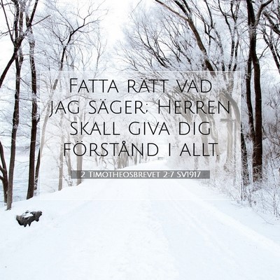Picture 07 - 2 Timotheosbrevet 2:7 SV1917 - Fatta rätt vad jag säger; Herren skall giva dig - Bible Verse Picture