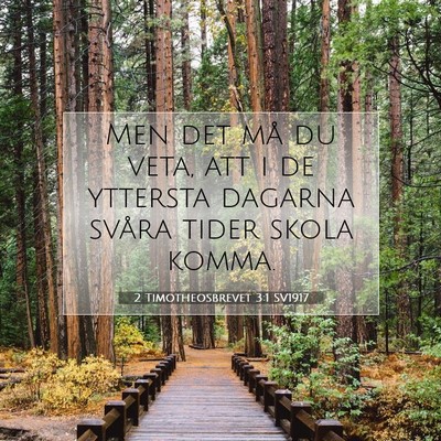 Picture 07 - 2 Timotheosbrevet 3:1 SV1917 - Men det må du veta, att i de yttersta dagarna - Bible Verse Picture