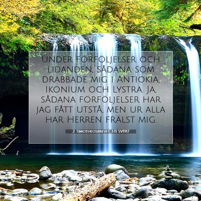 Picture 07 - 2 Timotheosbrevet 3:11 SV1917 - under förföljelser och lidanden, sådana som - Bible Verse Picture