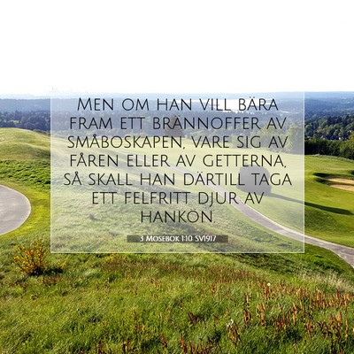 Picture 07 - 3 Mosebok 1:10 SV1917 - Men om han vill bära fram ett brännoffer av - Bible Verse Picture