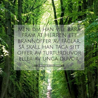 Picture 07 - 3 Mosebok 1:14 SV1917 - Men om han vill bära fram åt HERREN ett - Bible Verse Picture