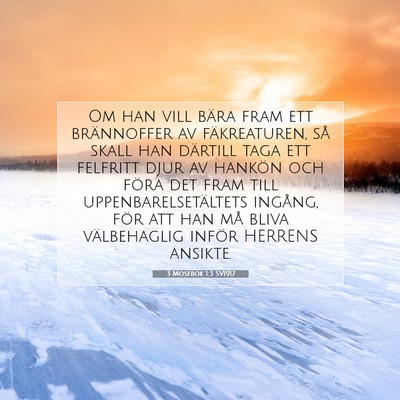 Picture 07 - 3 Mosebok 1:3 SV1917 - Om han vill bära fram ett brännoffer av - Bible Verse Picture
