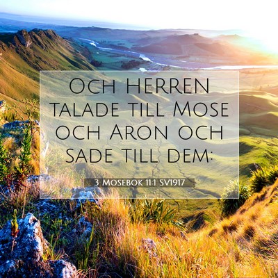 Picture 07 - 3 Mosebok 11:1 SV1917 - Och HERREN talade till Mose och Aron och sade - Bible Verse Picture