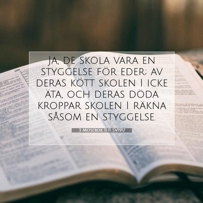 Picture 07 - 3 Mosebok 11:11 SV1917 - Ja, de skola vara en styggelse för eder; av - Bible Verse Picture