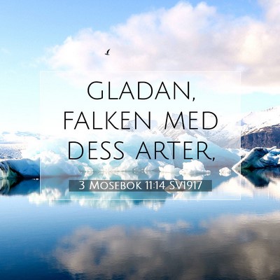 Picture 07 - 3 Mosebok 11:14 SV1917 - gladan, falken med dess - Bible Verse Picture