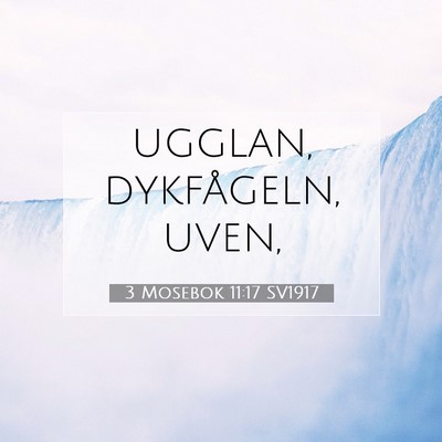 Picture 07 - 3 Mosebok 11:17 SV1917 - ugglan, dykfågeln, - Bible Verse Picture