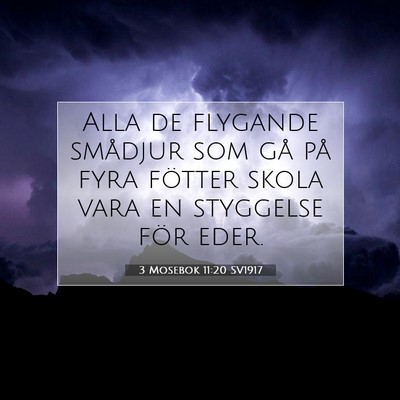 Picture 07 - 3 Mosebok 11:20 SV1917 - Alla de flygande smådjur som gå på fyra - Bible Verse Picture