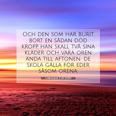 Picture 07 - 3 Mosebok 11:28 SV1917 - Och den som har burit bort en sådan död kropp, - Bible Verse Picture
