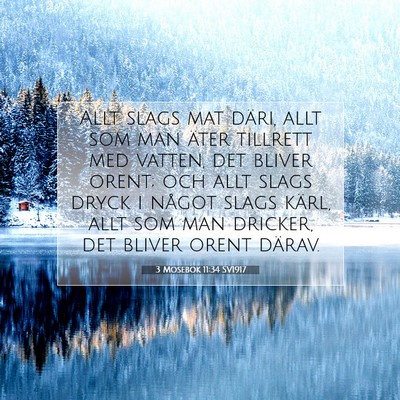 Picture 07 - 3 Mosebok 11:34 SV1917 - Allt slags mat däri, allt som man äter tillrett - Bible Verse Picture