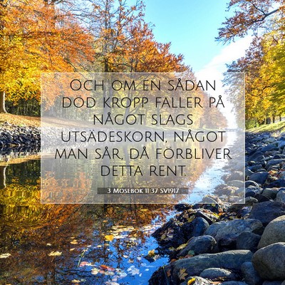 Picture 07 - 3 Mosebok 11:37 SV1917 - Och om en sådan död kropp faller på något - Bible Verse Picture