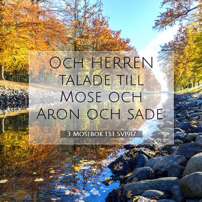 Picture 07 - 3 Mosebok 13:1 SV1917 - Och HERREN talade till Mose och Aron och - Bible Verse Picture