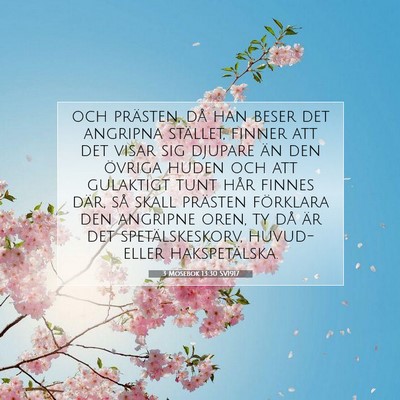 Picture 07 - 3 Mosebok 13:30 SV1917 - och prästen, då han beser det angripna - Bible Verse Picture