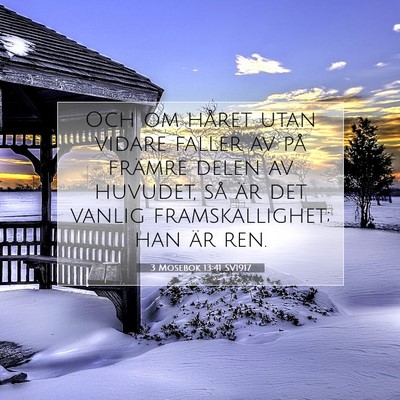 Picture 07 - 3 Mosebok 13:41 SV1917 - Och om håret utan vidare faller av på främre - Bible Verse Picture