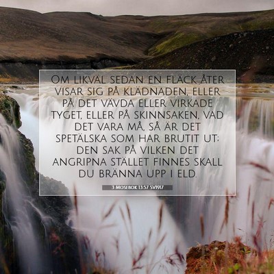 Picture 07 - 3 Mosebok 13:57 SV1917 - Om likväl sedan en fläck åter visar sig på - Bible Verse Picture