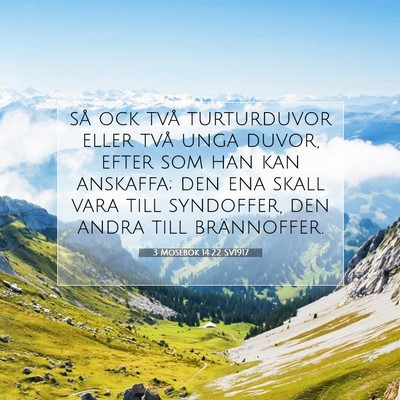 Picture 07 - 3 Mosebok 14:22 SV1917 - så ock två turturduvor eller två unga duvor, - Bible Verse Picture