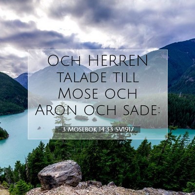 Picture 07 - 3 Mosebok 14:33 SV1917 - Och HERREN talade till Mose och Aron och - Bible Verse Picture