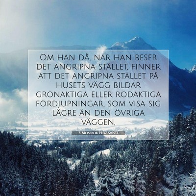 Picture 07 - 3 Mosebok 14:37 SV1917 - Om han då, när han beser det angripna stället, - Bible Verse Picture
