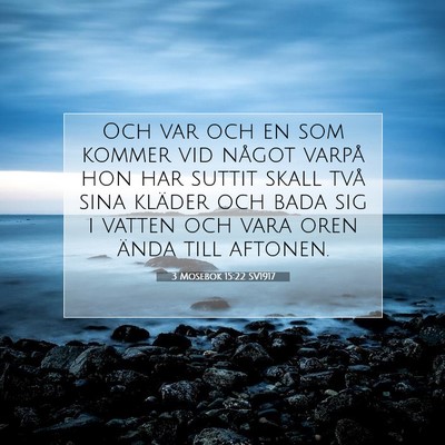 Picture 07 - 3 Mosebok 15:22 SV1917 - Och var och en som kommer vid något varpå hon - Bible Verse Picture