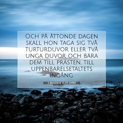 Picture 07 - 3 Mosebok 15:29 SV1917 - Och på åttonde dagen skall hon taga sig två - Bible Verse Picture