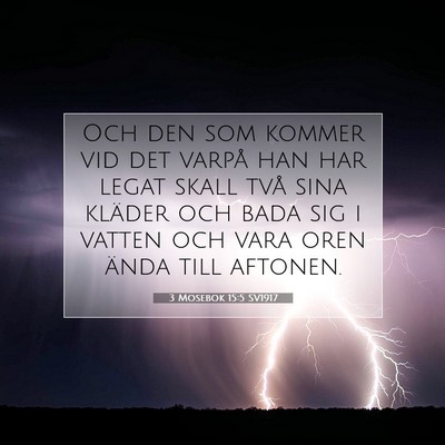 Picture 07 - 3 Mosebok 15:5 SV1917 - Och den som kommer vid det varpå han har legat - Bible Verse Picture