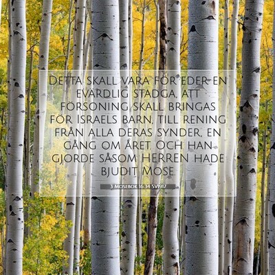 Picture 07 - 3 Mosebok 16:34 SV1917 - Detta skall vara för eder en evärdlig stadga, - Bible Verse Picture