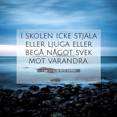 Picture 07 - 3 Mosebok 19:11 SV1917 - I skolen icke stjäla eller ljuga eller begå - Bible Verse Picture