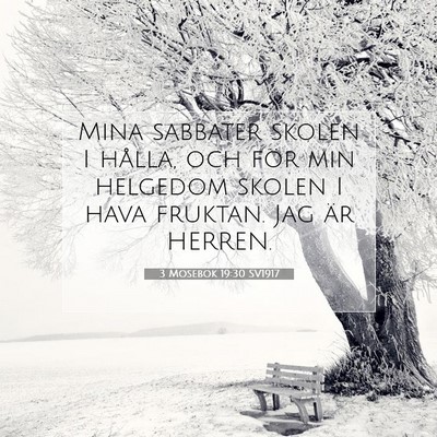 Picture 07 - 3 Mosebok 19:30 SV1917 - Mina sabbater skolen I hålla, och för min - Bible Verse Picture