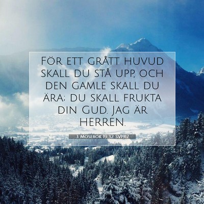 Picture 07 - 3 Mosebok 19:32 SV1917 - För ett grått huvud skall du stå upp, och den - Bible Verse Picture