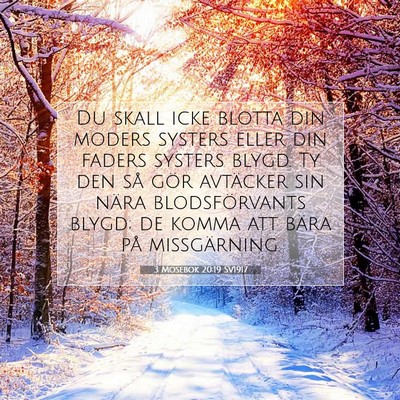 Picture 07 - 3 Mosebok 20:19 SV1917 - Du skall icke blotta din moders systers eller din - Bible Verse Picture