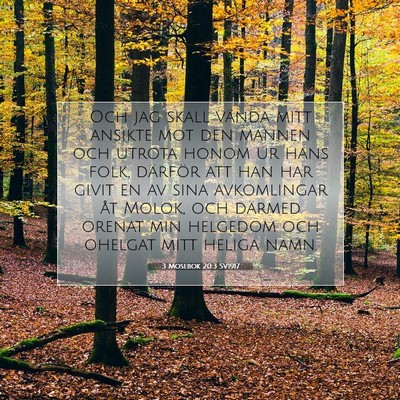 Picture 07 - 3 Mosebok 20:3 SV1917 - Och jag skall vända mitt ansikte mot den mannen - Bible Verse Picture