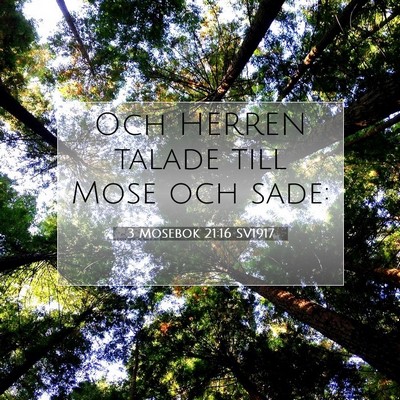 Picture 07 - 3 Mosebok 21:16 SV1917 - Och HERREN talade till Mose och - Bible Verse Picture