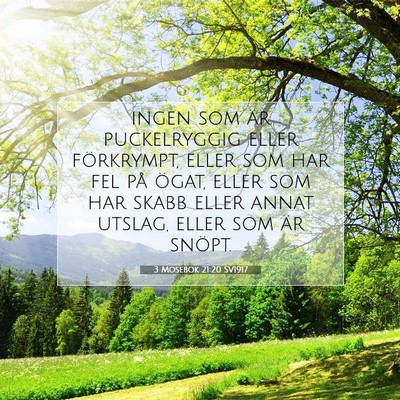 Picture 07 - 3 Mosebok 21:20 SV1917 - ingen som är puckelryggig eller förkrympt, - Bible Verse Picture
